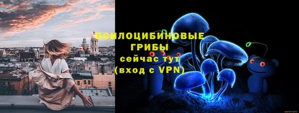 стаф Зеленодольск
